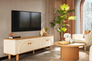 Coco Tv Ünitesi